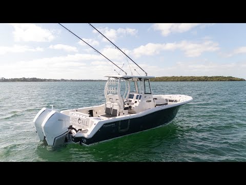 IIQ - Video