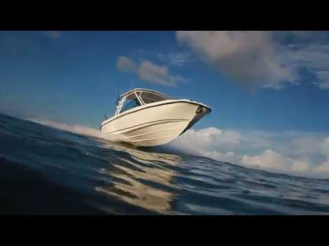 IIQ - Video