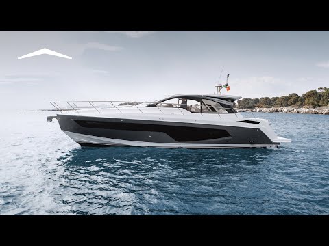 IIQ - Video
