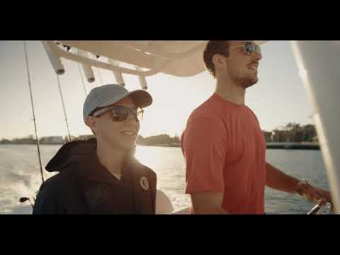 IIQ - Video
