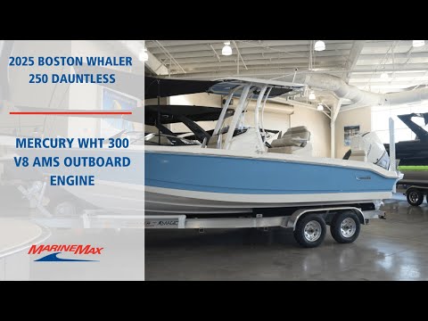 2025 Boston Whaler 250 Dauntless 25.0 feet Walk-Through - Features & Buyer's Guide, Clearwater, Florida #1