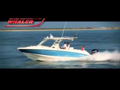 IIQ - Video