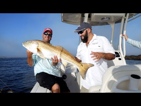 2026 Grady-White Fisherman 236 23.0 feet Walk-Through - Features & Buyer's Guide, Clearwater, Florida #1