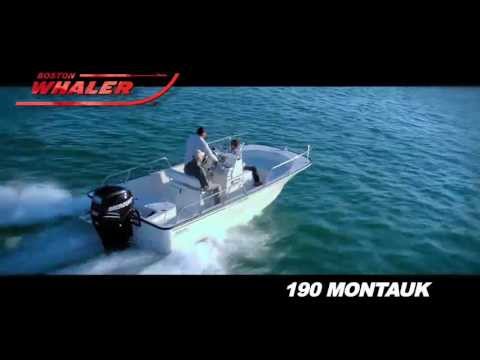 IIQ - Video