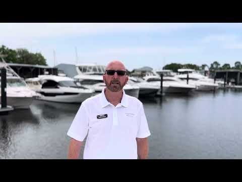 IIQ - Video