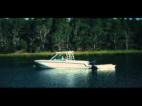 IIQ - Video