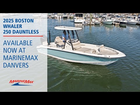 2026 Boston Whaler 250 Dauntless 25.0 feet Walk-Through - Features & Buyer's Guide, Clearwater, Florida #1