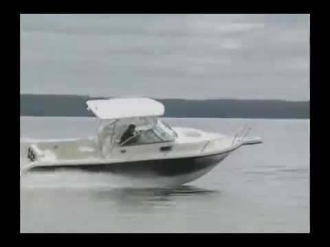 IIQ - Video