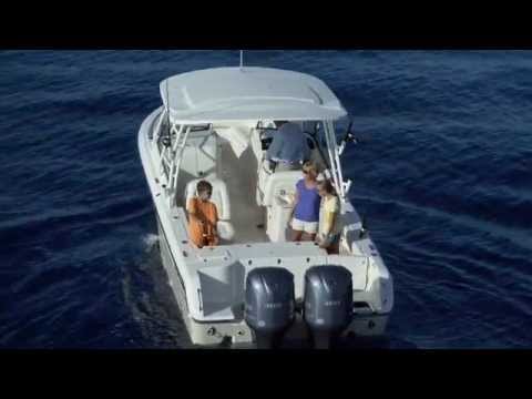 IIQ - Video