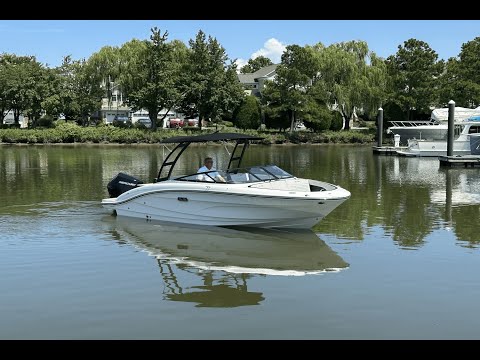 2026 Sea Ray SPX 210 Outboard 21.0 feet Walk-Through - Features & Buyer's Guide, Clearwater, Florida #1
