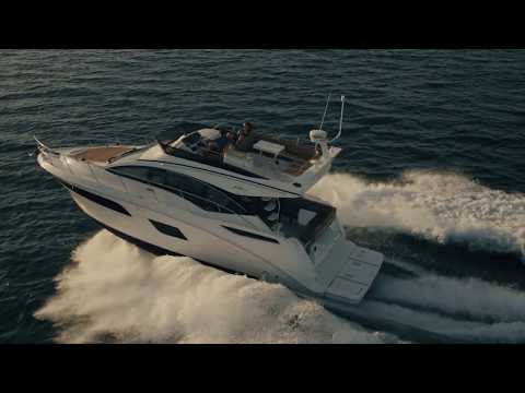 IIQ - Video