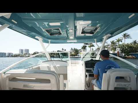 IIQ - Video