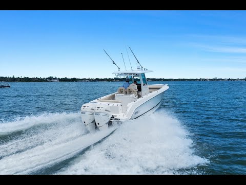 IIQ - Video