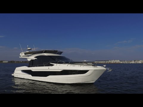 IIQ - Video