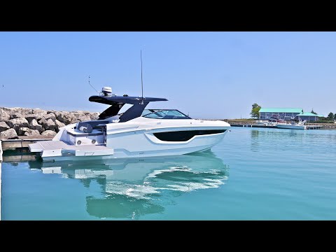 IIQ - Video