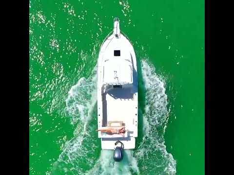 IIQ - Video