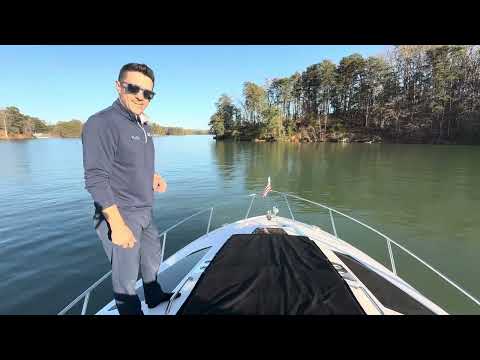 IIQ - Video