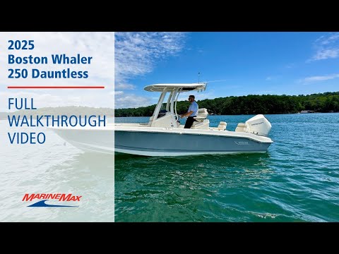 2025 Boston Whaler 250 Dauntless 25.0 feet Walk-Through - Features & Buyer's Guide, Clearwater, Florida #1