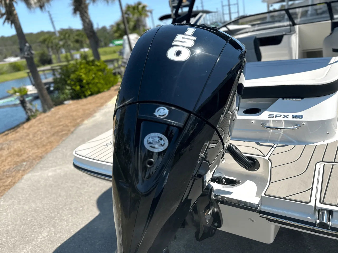 2025 Sea Ray SPX 190 Outboard 19.0 feet, Clearwater, Florida #4