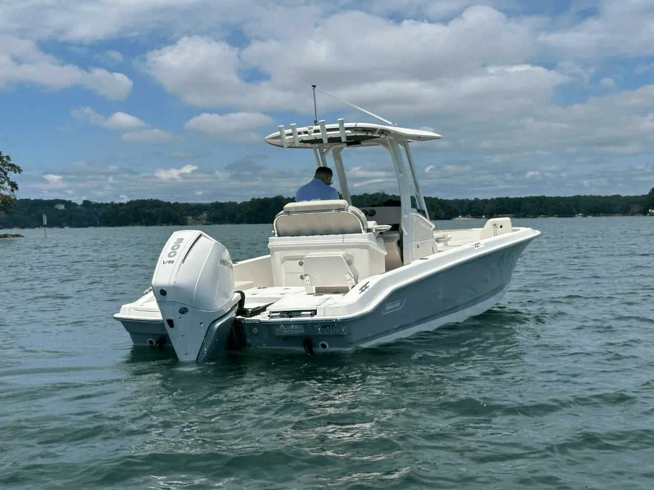 2025 Boston Whaler 250 Dauntless 25.0 feet, Clearwater, Florida #12