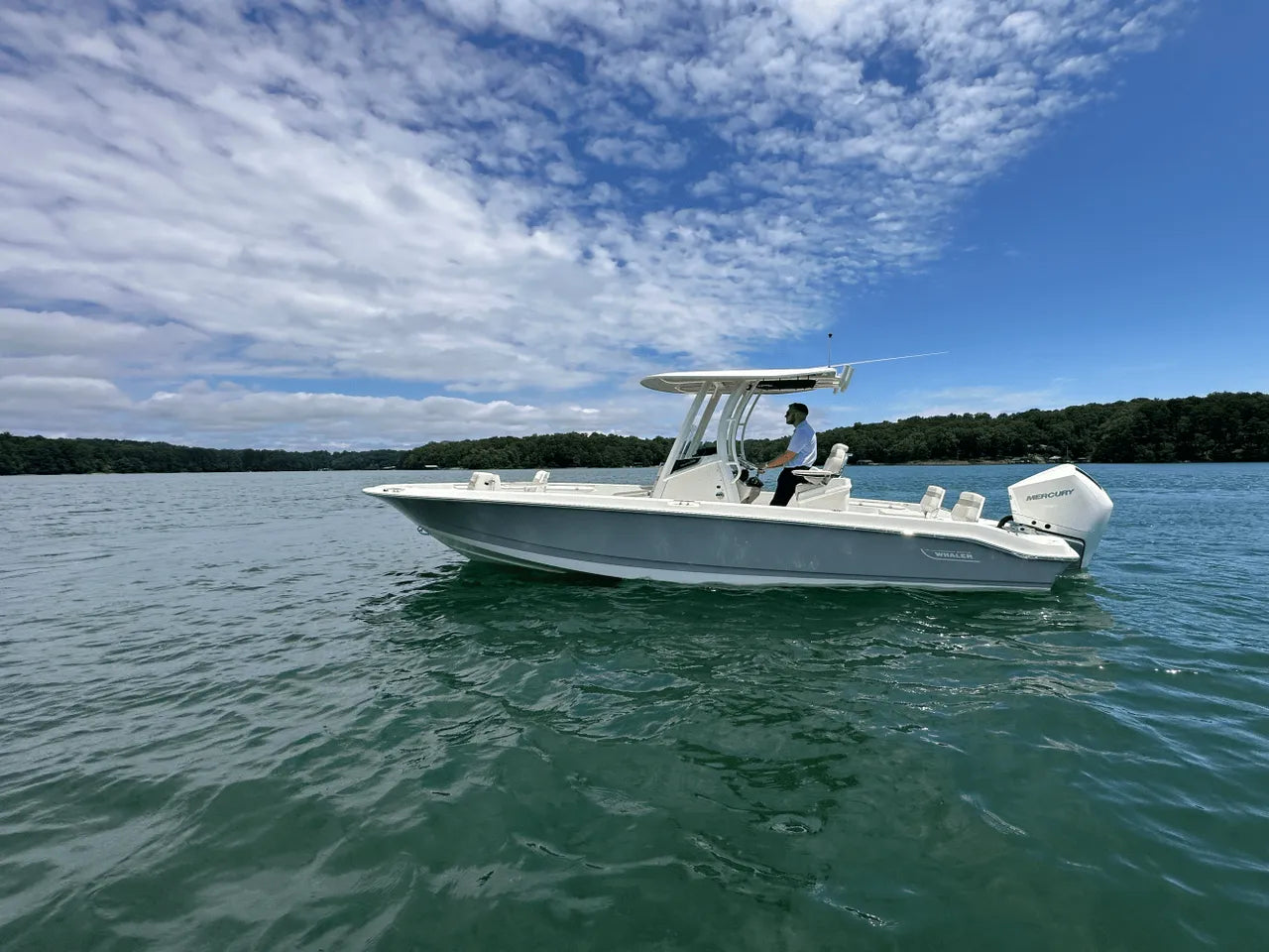 2025 Boston Whaler 250 Dauntless 25.0 feet, Clearwater, Florida #15