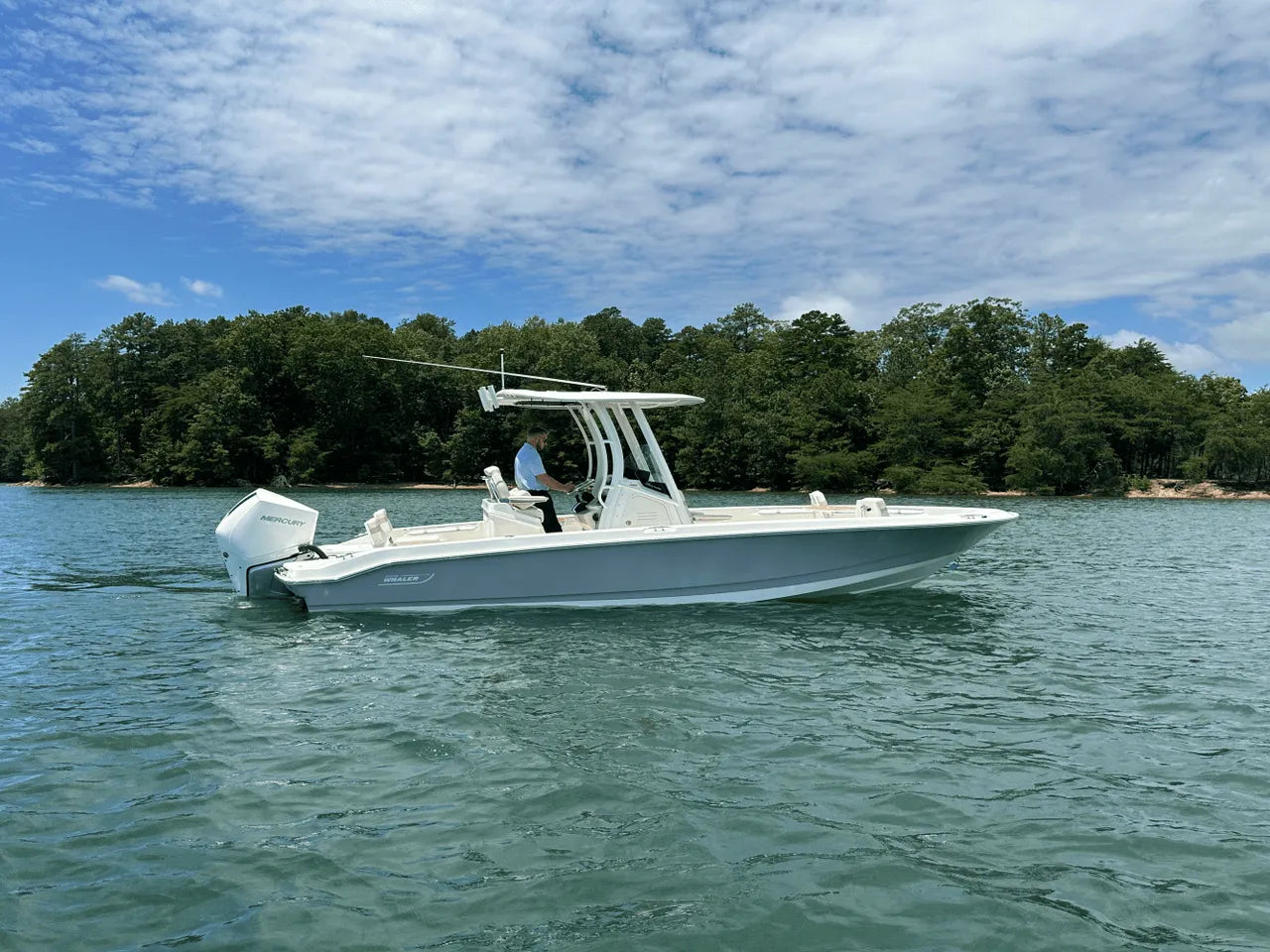 2025 Boston Whaler 250 Dauntless 25.0 feet, Clearwater, Florida #9