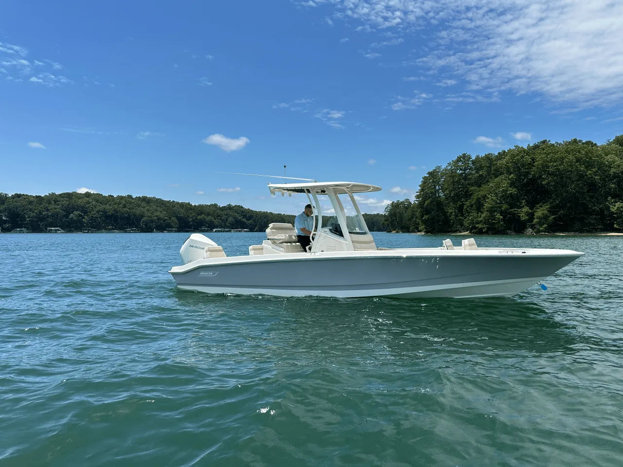 2025 Boston Whaler 250 Dauntless 25.0 feet, Clearwater, Florida #2