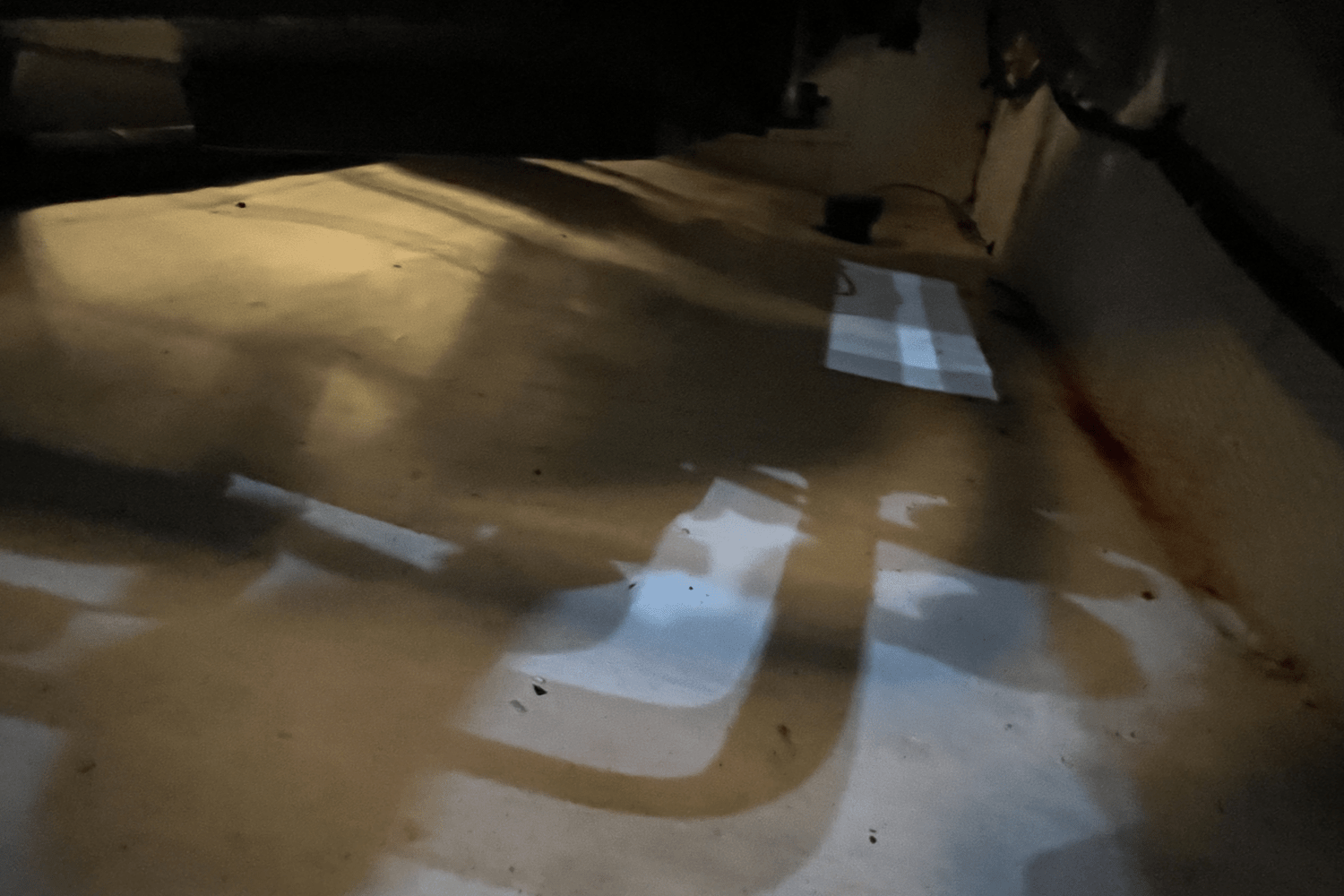 IIQ - Image