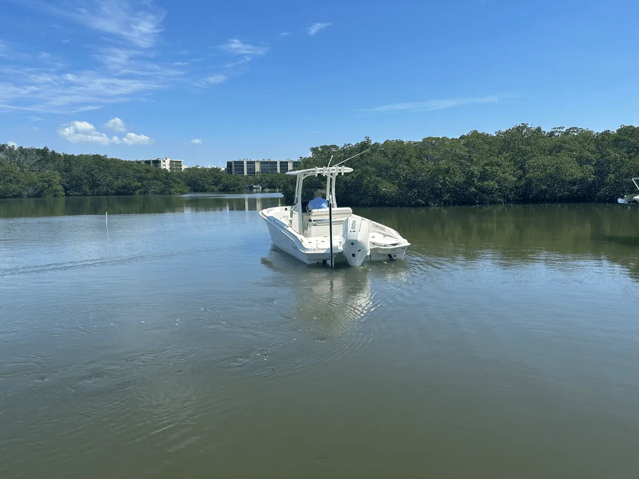 2025 Boston Whaler 250 Dauntless 25.0 feet, Clearwater, Florida #5