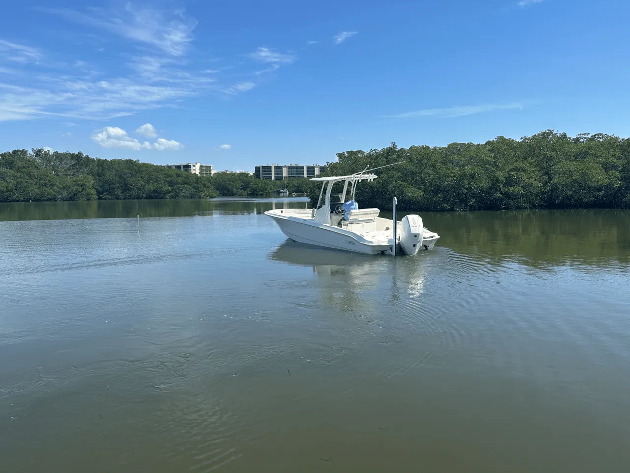 2025 Boston Whaler 250 Dauntless 25.0 feet, Clearwater, Florida #6