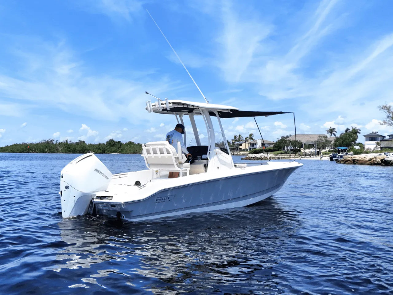 2026 Boston Whaler 220 Dauntless 22.0 feet, Clearwater, Florida #4