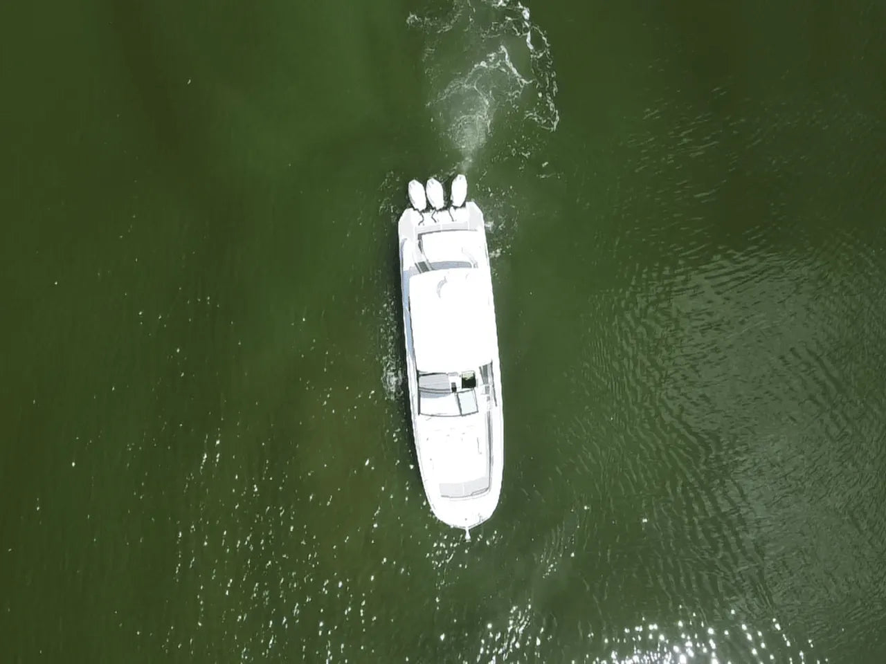 2025 Sea Ray Sundancer 320 Outboard 32.0 feet, Clearwater, Florida #8