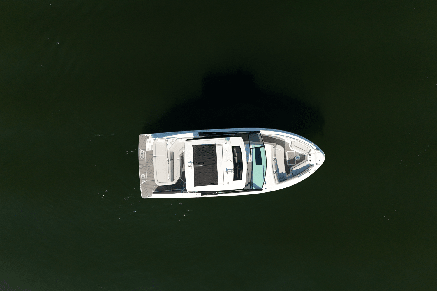 IIQ - Image