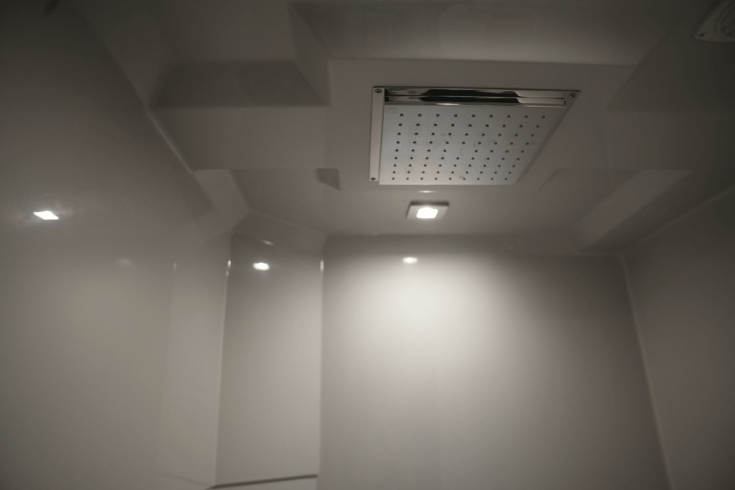 IIQ - Image