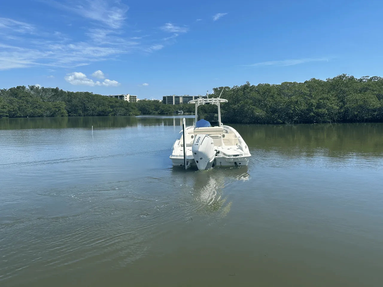 2025 Boston Whaler 250 Dauntless 25.0 feet, Clearwater, Florida #4