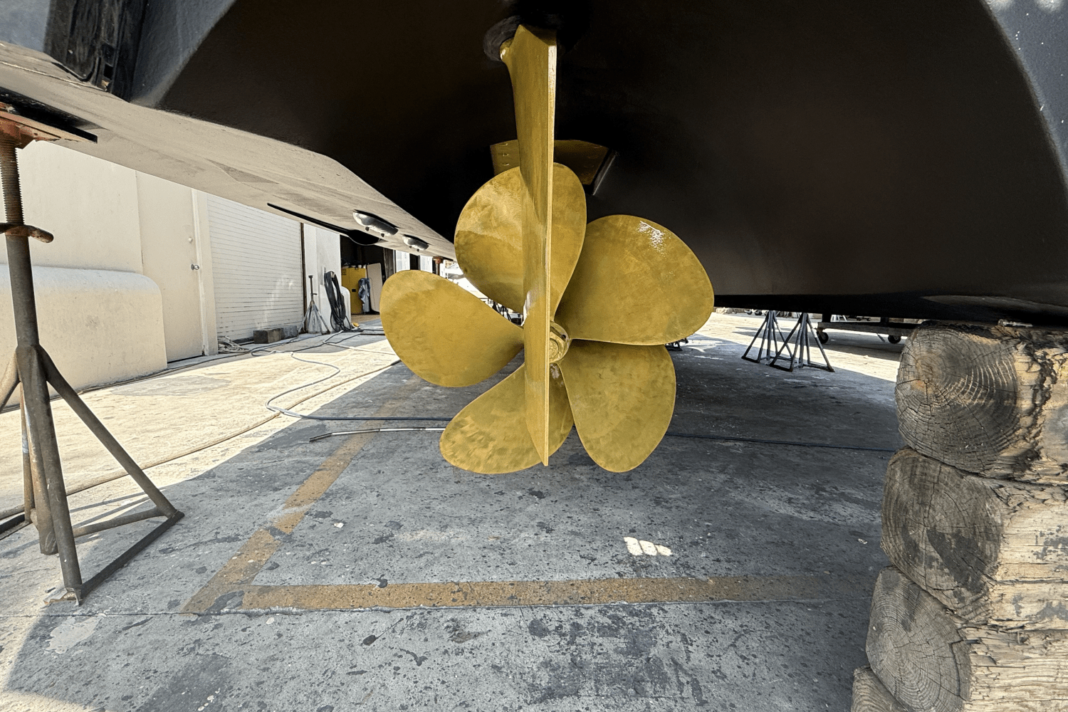 IIQ - Image