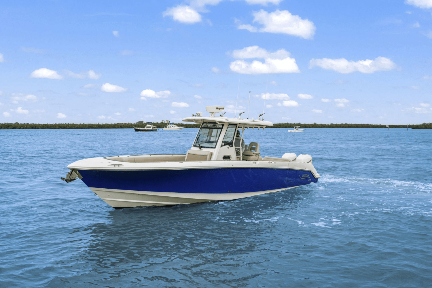 IIQ - Image