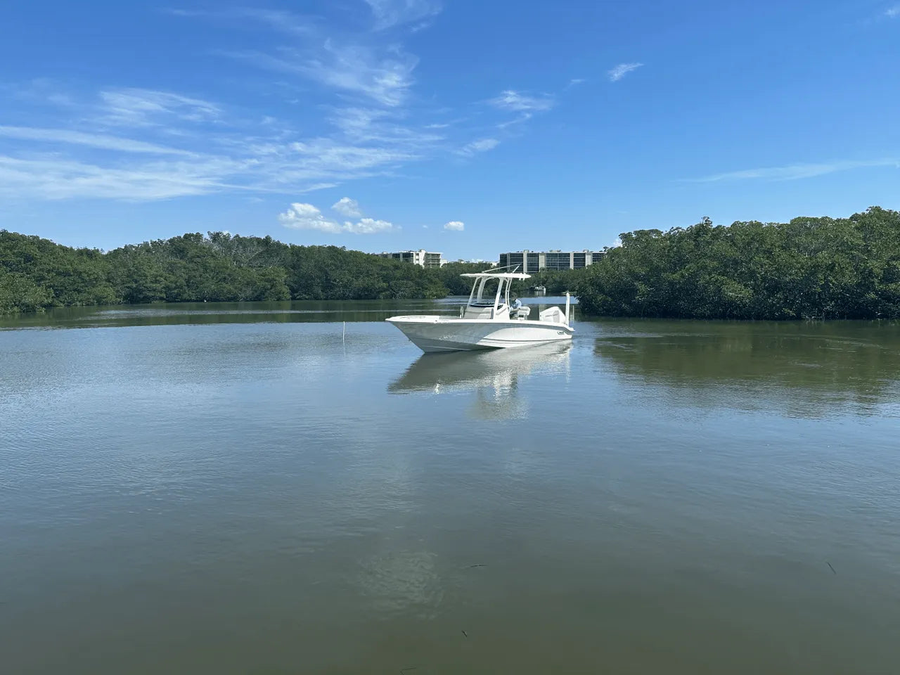 2025 Boston Whaler 250 Dauntless 25.0 feet, Clearwater, Florida #10