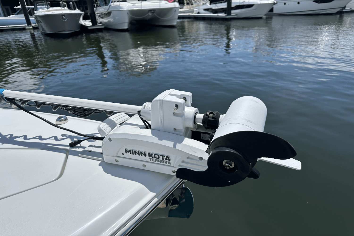 IIQ - Image