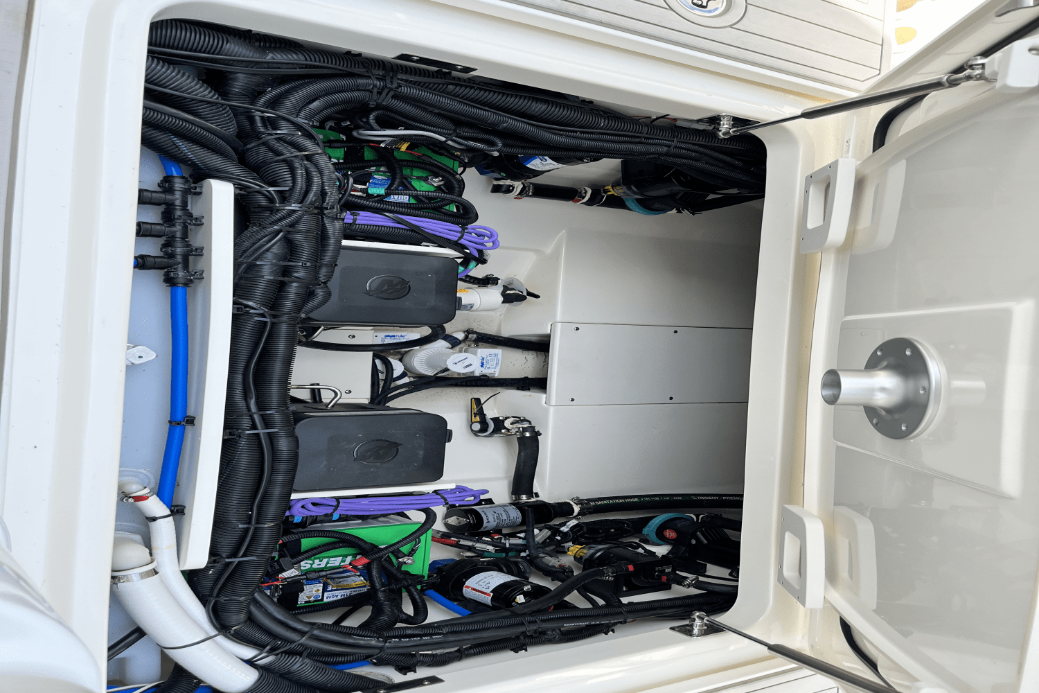 IIQ - Image